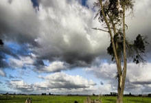 雷火电竞中国-湖人意甲爆冷负东契奇领衔劲旅！积分震荡暗藏体坛新变局