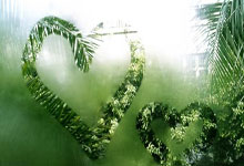 开云体育入口-内马尔点燃！圣殿狂欢夜诠释足球信仰