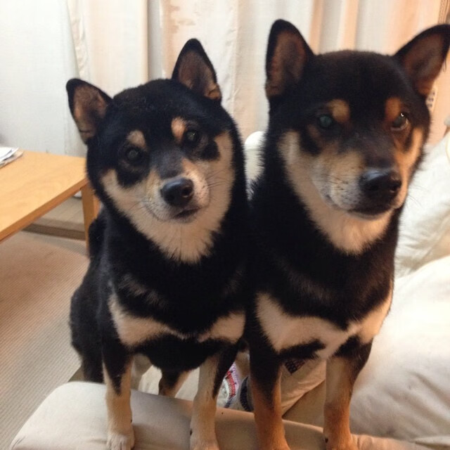 德国火力压制英格兰，厄德高全程高能输出，绿茵场上的德意志风暴